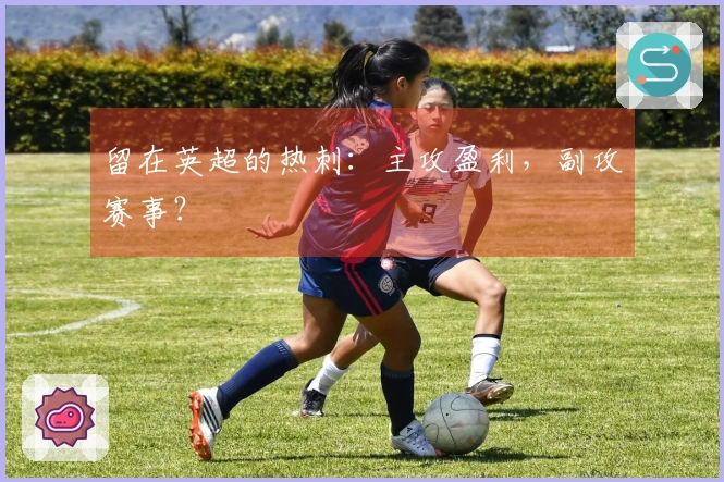 留在英超的热刺：主攻盈利，副攻赛事？